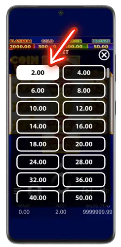Voordat je Coin Win Slot speelt, bepaal je je inzet.