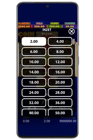 Coin Win Slot inzetinstellingen voor de spin